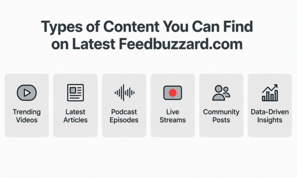 Types of Content You Can Find on Latest Feedbuzzard com